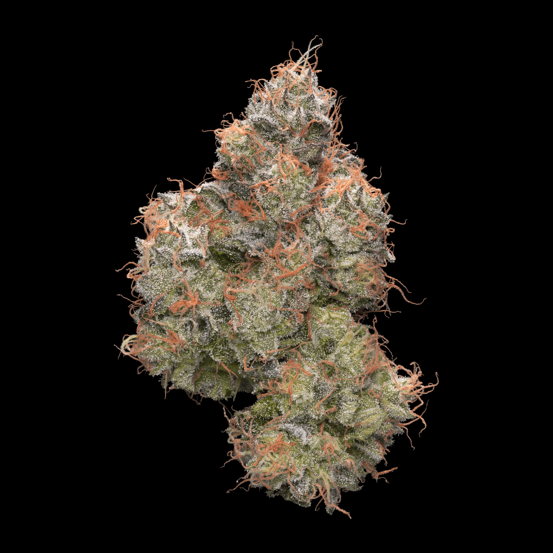 Brigid Farm product spotlight 2